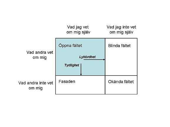 Johari_fönster.jpg